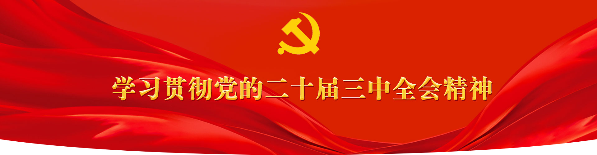 学习贯彻党的二十届三中全会精神